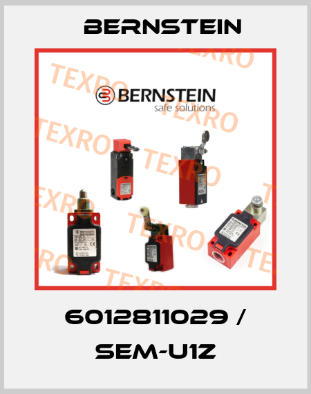 6012811029 / SEM-U1Z Bernstein