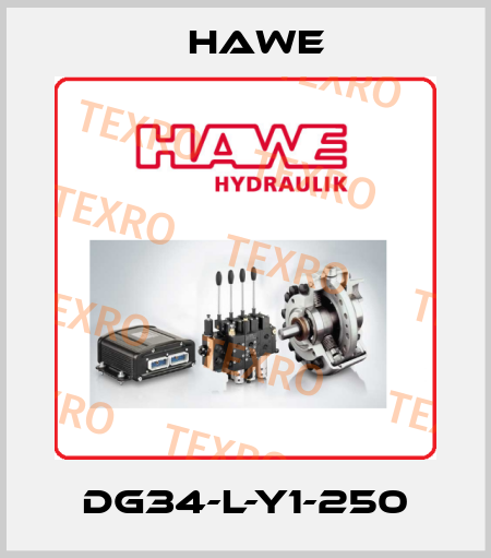 DG34-L-Y1-250 Hawe