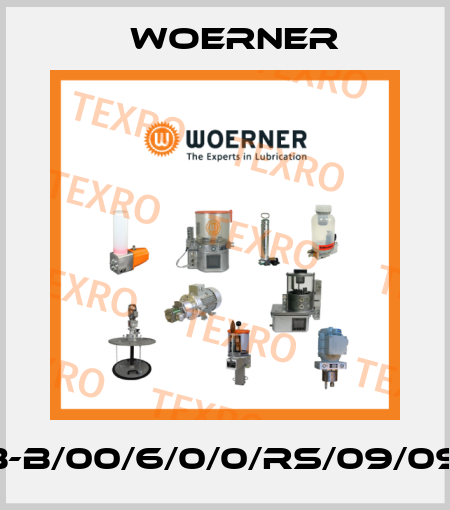 VPB-B/00/6/0/0/RS/09/09/20 Woerner