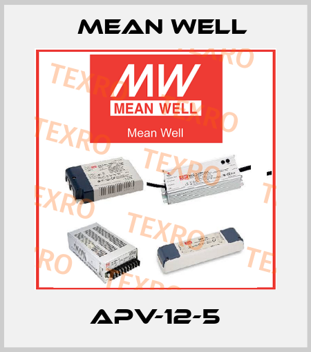 APV-12-5 Mean Well