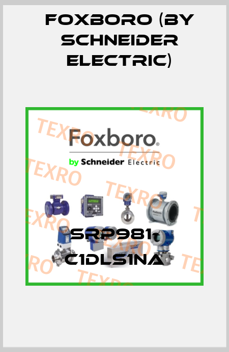 SRP981- C1DLS1NA Foxboro (by Schneider Electric)