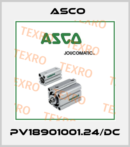 PV18901001.24/DC Asco