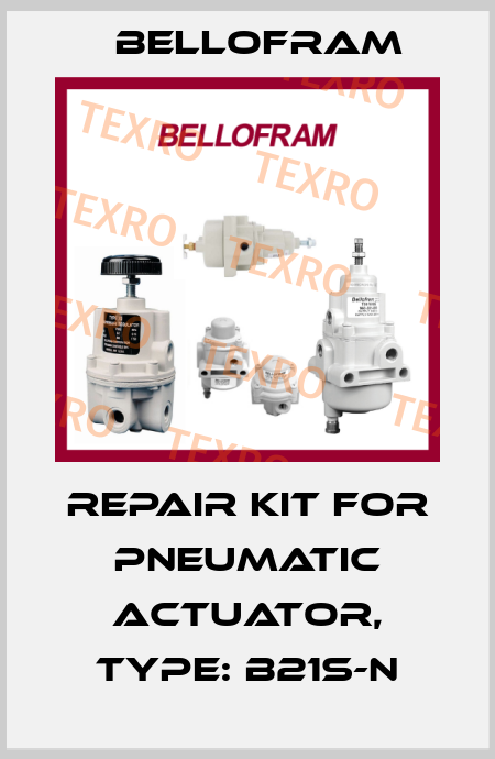 Repair kit for Pneumatic Actuator, Type: B21S-N Bellofram