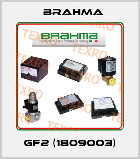 GF2 (1809003) Brahma
