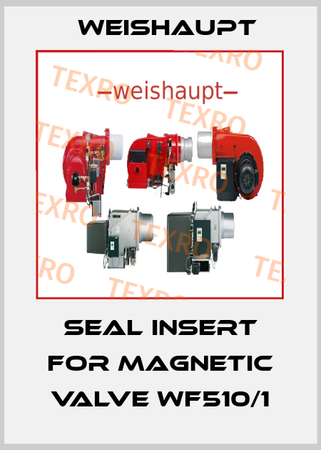 Seal Insert for magnetic valve WF510/1 Weishaupt