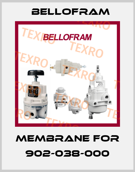 Membrane for 902-038-000 Bellofram