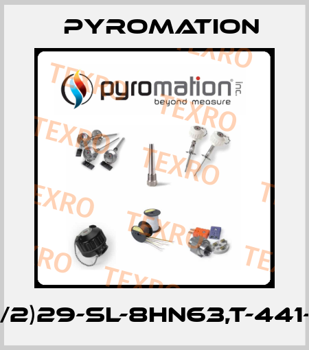 J48G-S4C07(1/2)29-SL-8HN63,T-441-1JU-S(0-200)F Pyromation