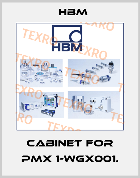 cabinet for PMX 1-WGX001. Hbm