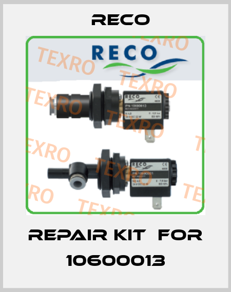 repair kit  for 10600013 Reco