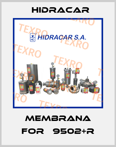 membrana for Р9502+R Hidracar