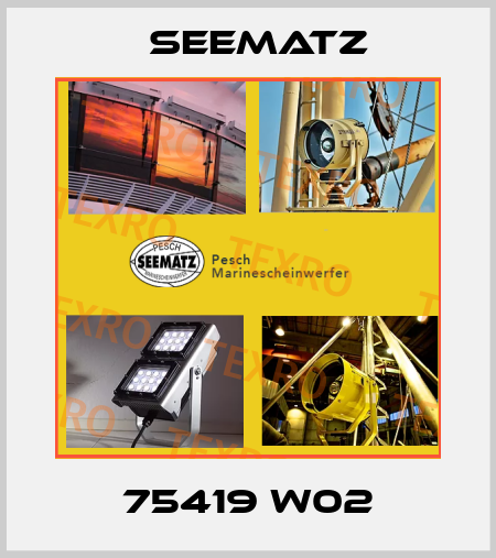 75419 W02 Seematz