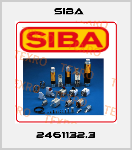 2461132.3 Siba