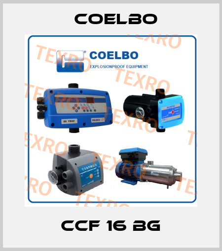 CCF 16 BG COELBO