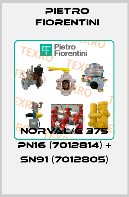 NORVAL/G 375 PN16 (7012814) + SN91 (7012805) Pietro Fiorentini