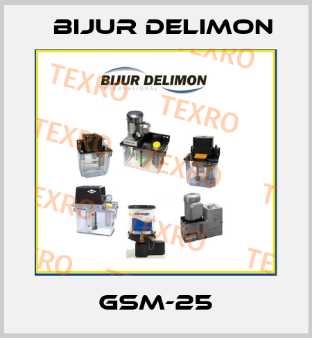 GSM-25 Bijur Delimon