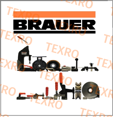 V250/2B Brauer