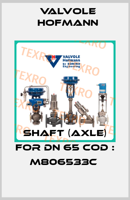 SHAFT (AXLE) FOR DN 65 COD : M806533C  Valvole Hofmann
