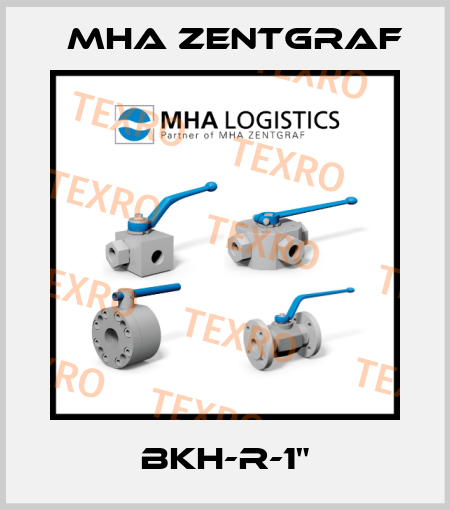 BKH-R-1" Mha Zentgraf
