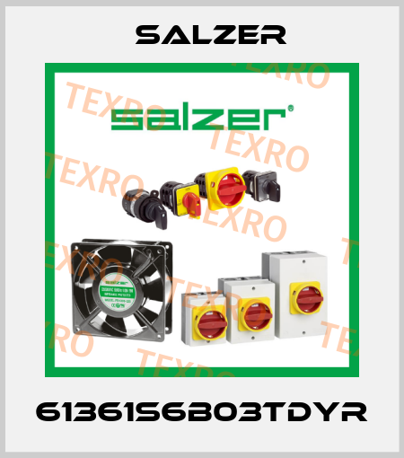 61361S6B03TDYR Salzer