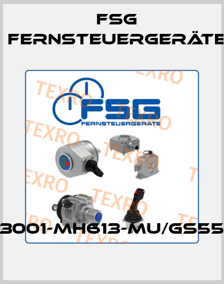 SL3001-MH613-MU/GS55/01 FSG Fernsteuergeräte