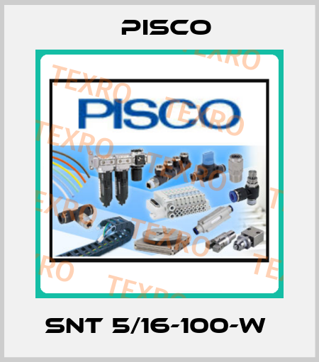 SNT 5/16-100-W  Pisco