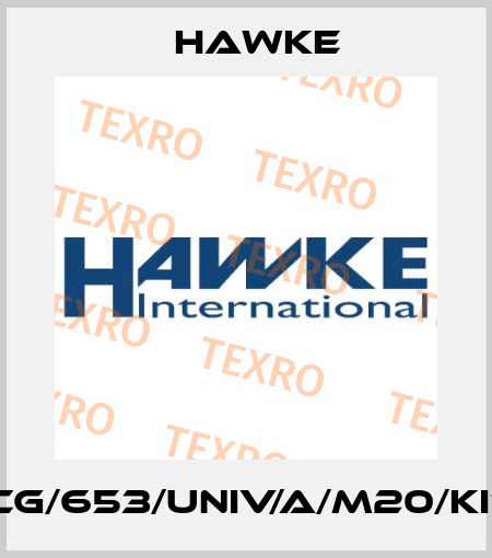 ICG/653/UNIV/A/M20/KIT Hawke