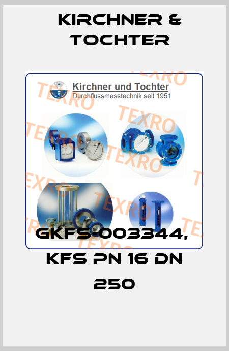 GKFS-003344,  KFS PN 16 DN 250 Kirchner & Tochter