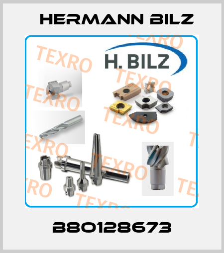 B8O128673 Hermann Bilz