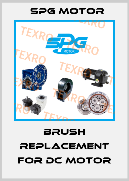 brush replacement for DC motor Spg Motor