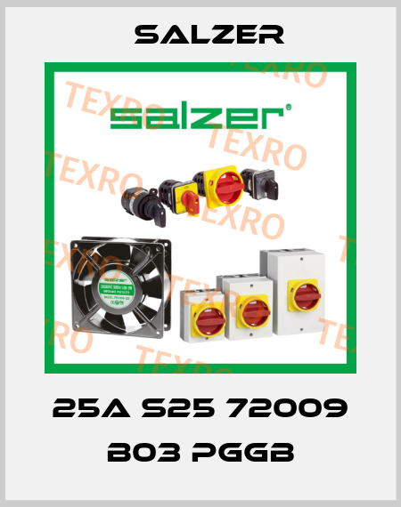 25A S25 72009 B03 PGGB Salzer