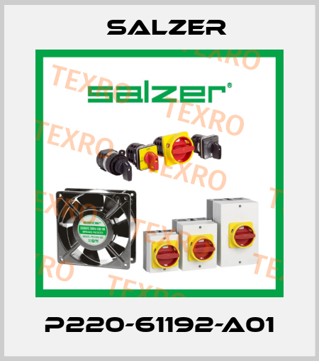P220-61192-A01 Salzer