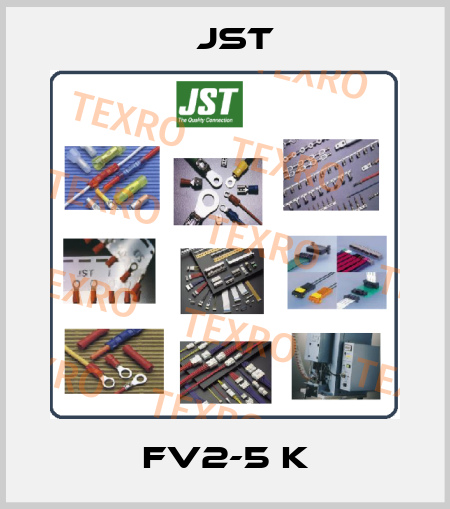 FV2-5 K JST
