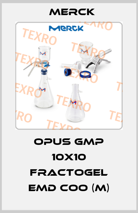 OPUS GMP 10x10 Fractogel EMD COO (M) Merck