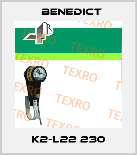 K2-L22 230 Benedict