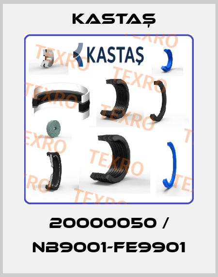 20000050 / NB9001-FE9901 Kastaş