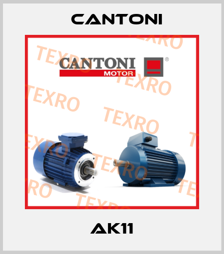 AK11 Cantoni