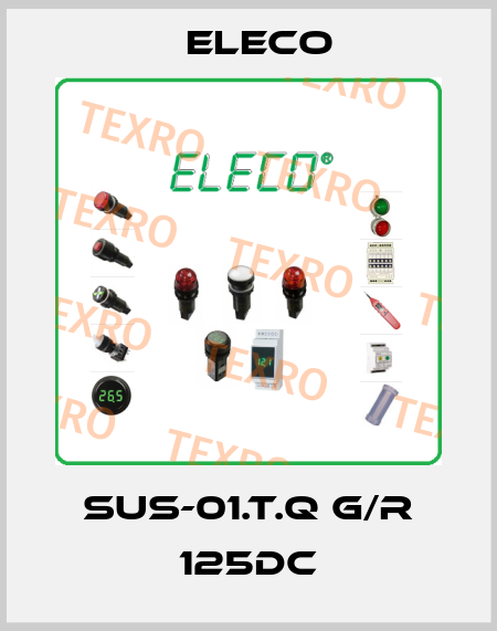 SUS-01.T.Q G/R 125DC Eleco