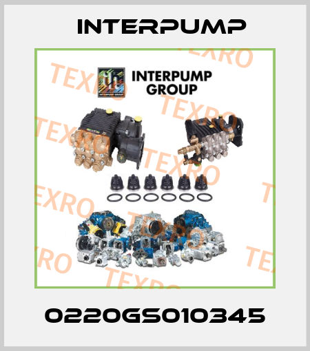 0220GS010345 Interpump