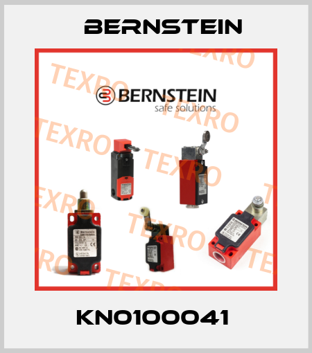 KN0100041  Bernstein