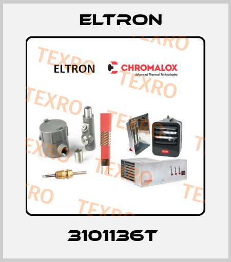 3101136T  Eltron