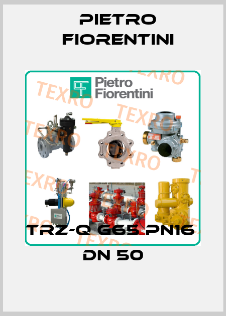 TRZ-Q G65 PN16          DN 50 Pietro Fiorentini