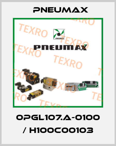 0PGL107.A-0100 / H100C00103 Pneumax