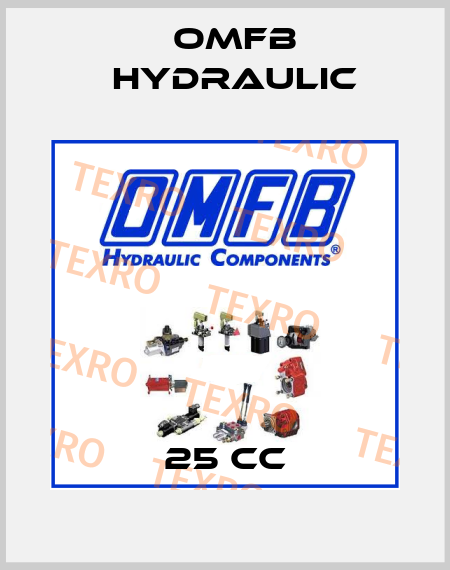  25 cc OMFB Hydraulic