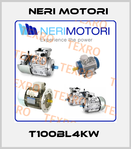 T100BL4KW  Neri Motori