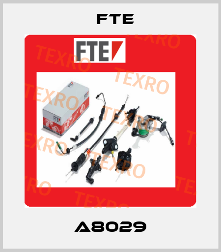 A8029 FTE