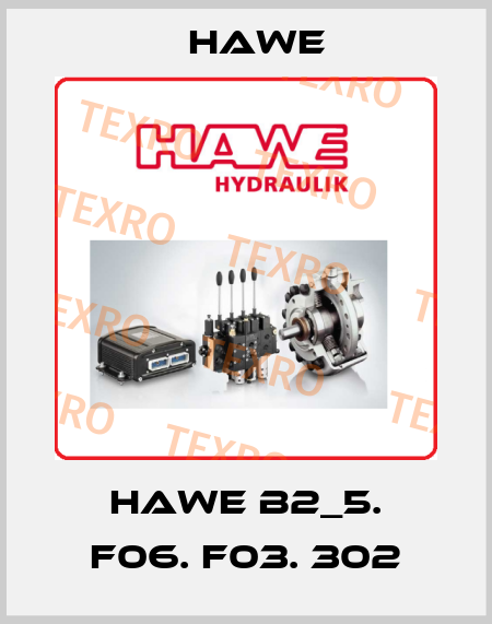 HAWE B2_5. F06. F03. 302 Hawe