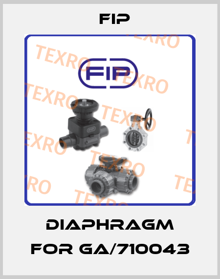 Diaphragm for GA/710043 Fip