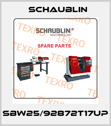 SBW25/92872T17UP Schaublin