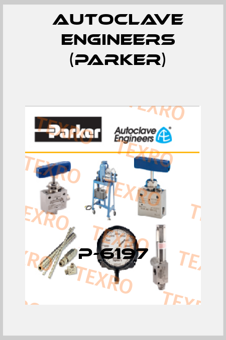 P-6197 Autoclave Engineers (Parker)