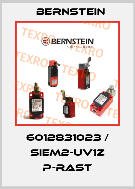 6012831023 / SIEM2-UV1Z P-RAST Bernstein